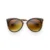 Women’s Tortoise & Amber Indie Cat-Eye Sunglasses